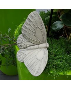 Schmetterling "Farfalla", Resin
